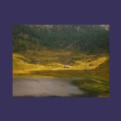 2012-08-11__03Kaerlinger-Haus_Viehkogel (055).JPG